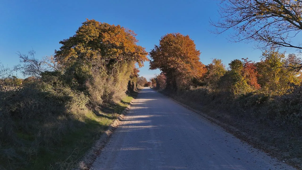 Land for Sale in Montague County, Texas 349 Properties