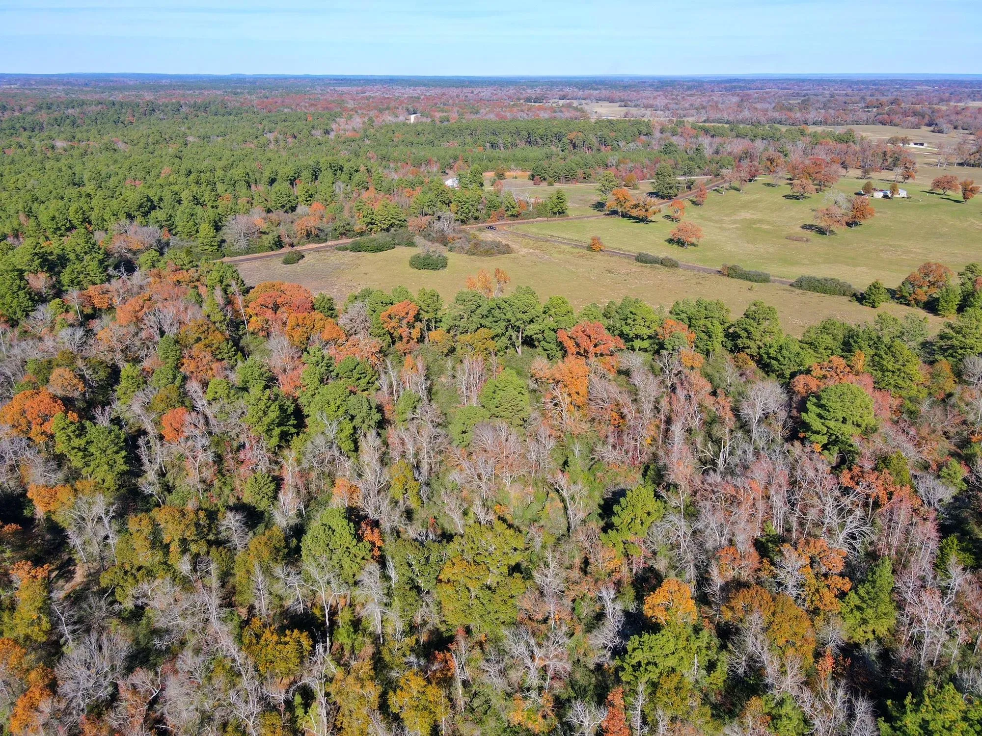 Land for Sale in Leon County, Texas over 15 Acres 70 Properties