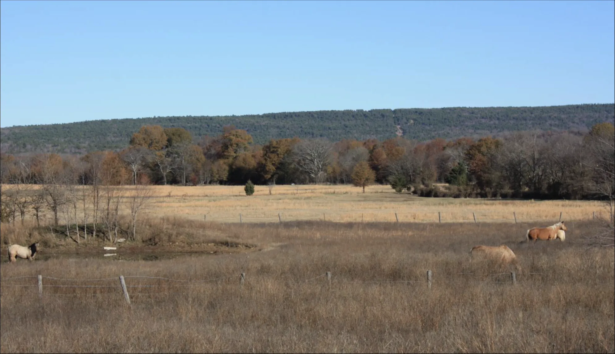 Properties of Tabitha Richardson with 4T Land Group, LLC. in Lehigh, OK