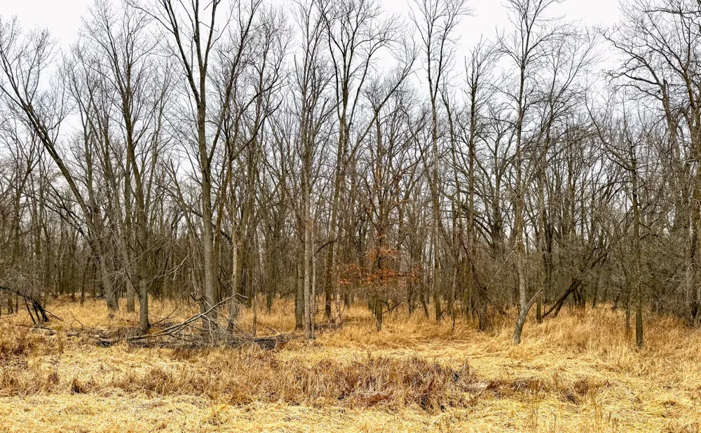 Land for Sale in Shiocton, Wisconsin 10 Properties