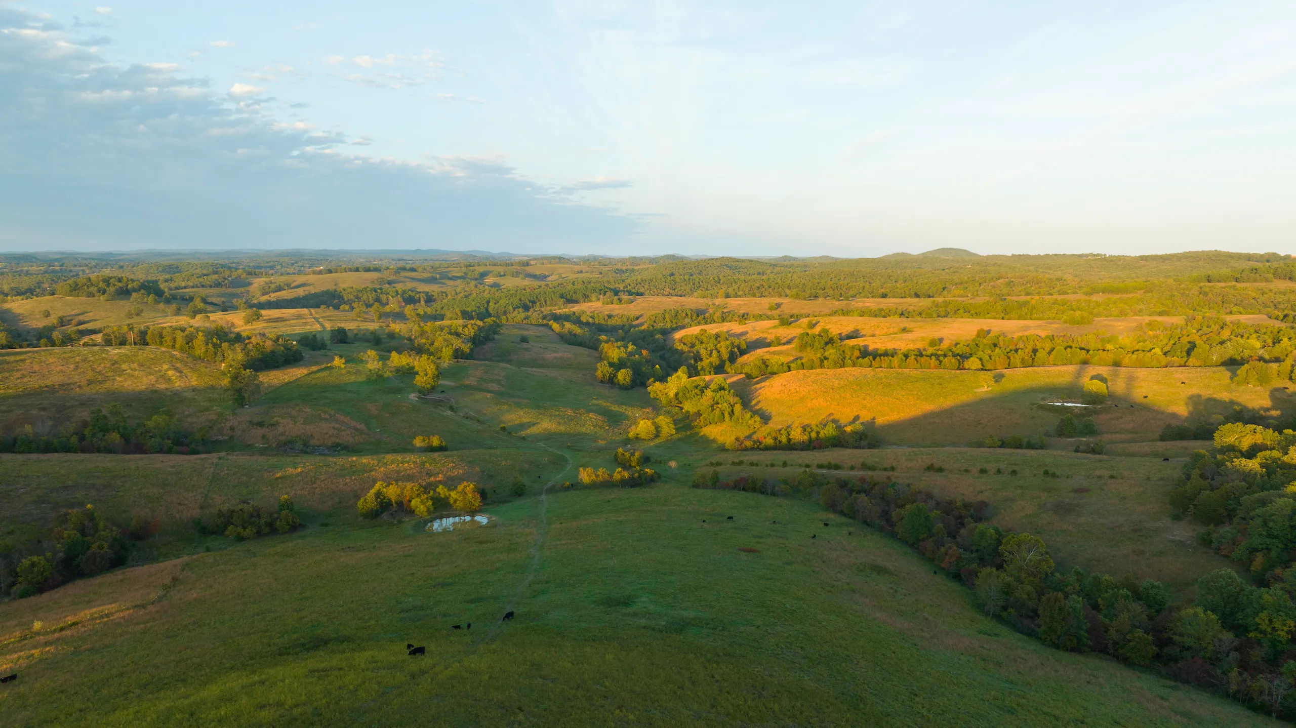 Land for Sale in Ozark County, Missouri 128 Properties