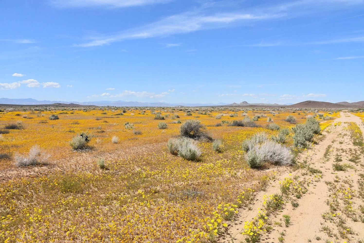 Properties of Matt Fonda with Dream Hill Homes Corp in Culver City, CA