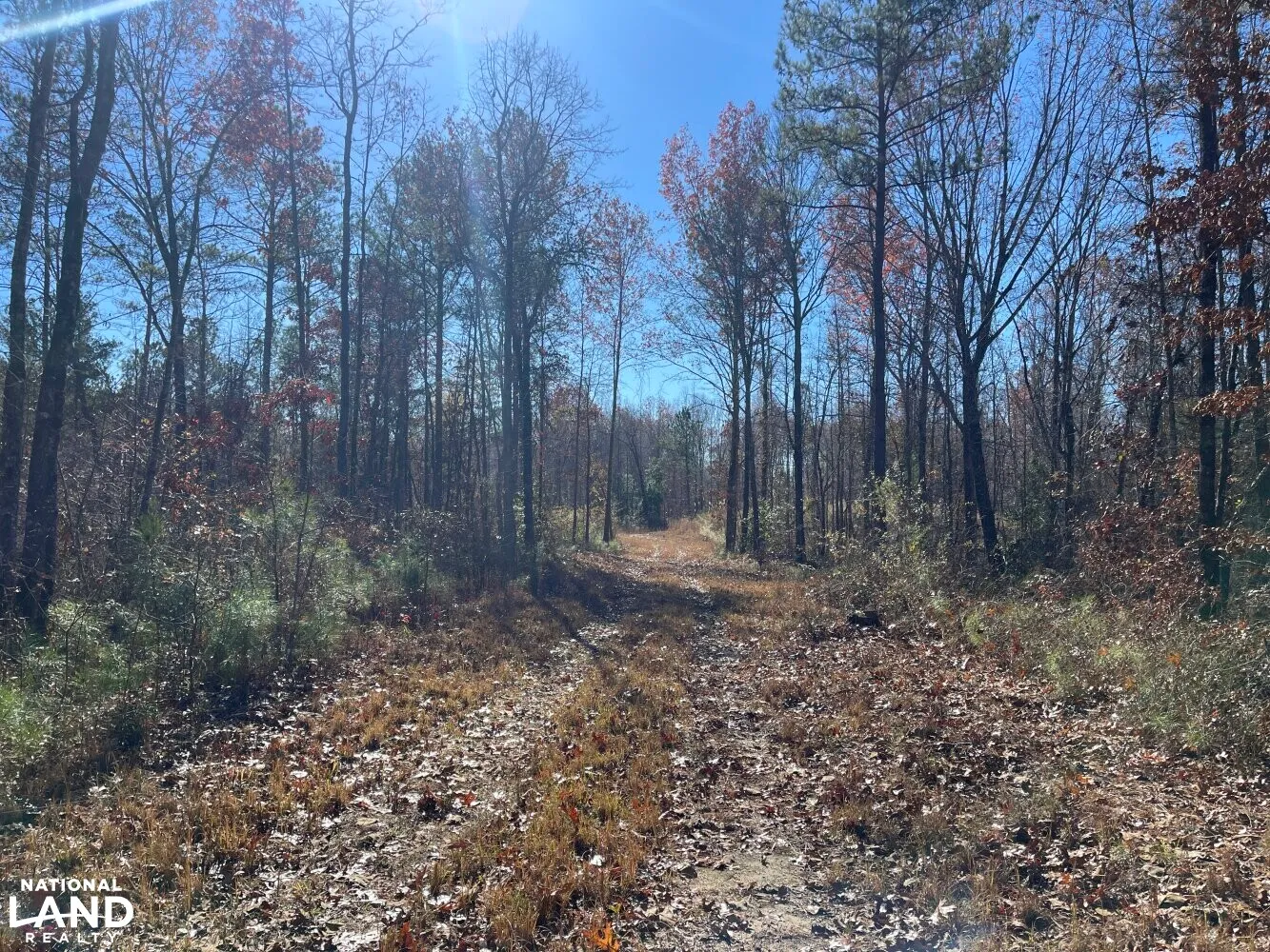 Land for Sale in Marion County, Alabama 138 Properties