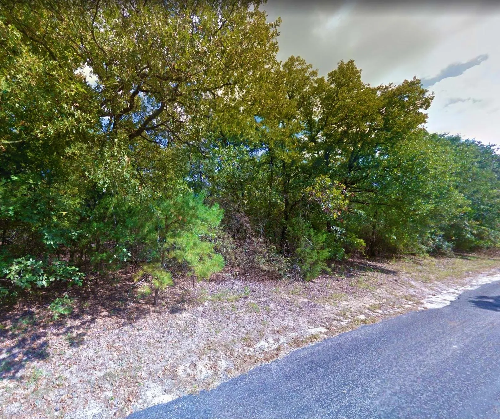 Land for Sale in Franklin County, Texas 160 Properties