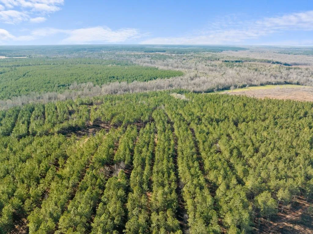 Land for Sale in Burke County, 116 Properties