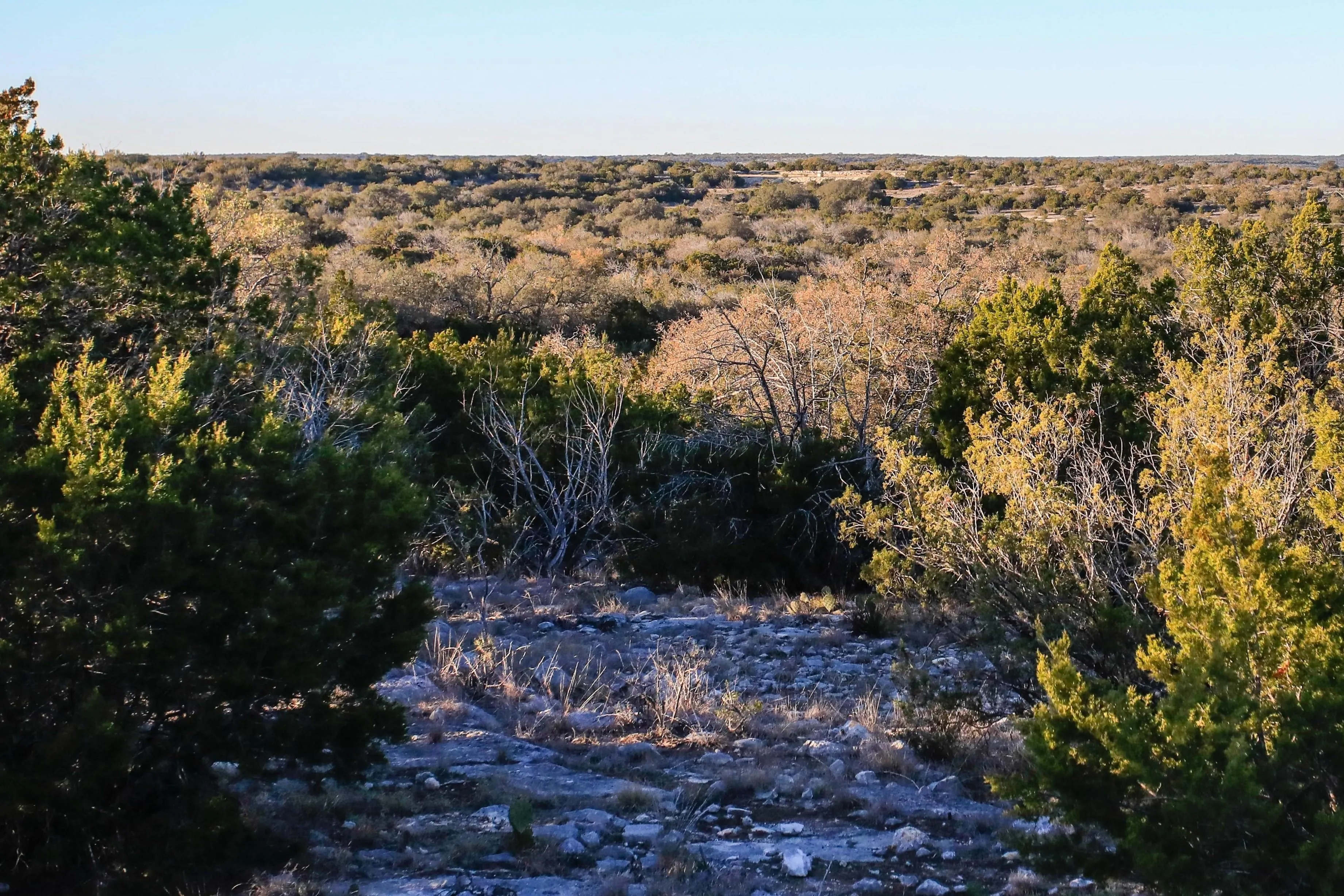 Ranches for Sale in Sonora, Texas 24 Properties