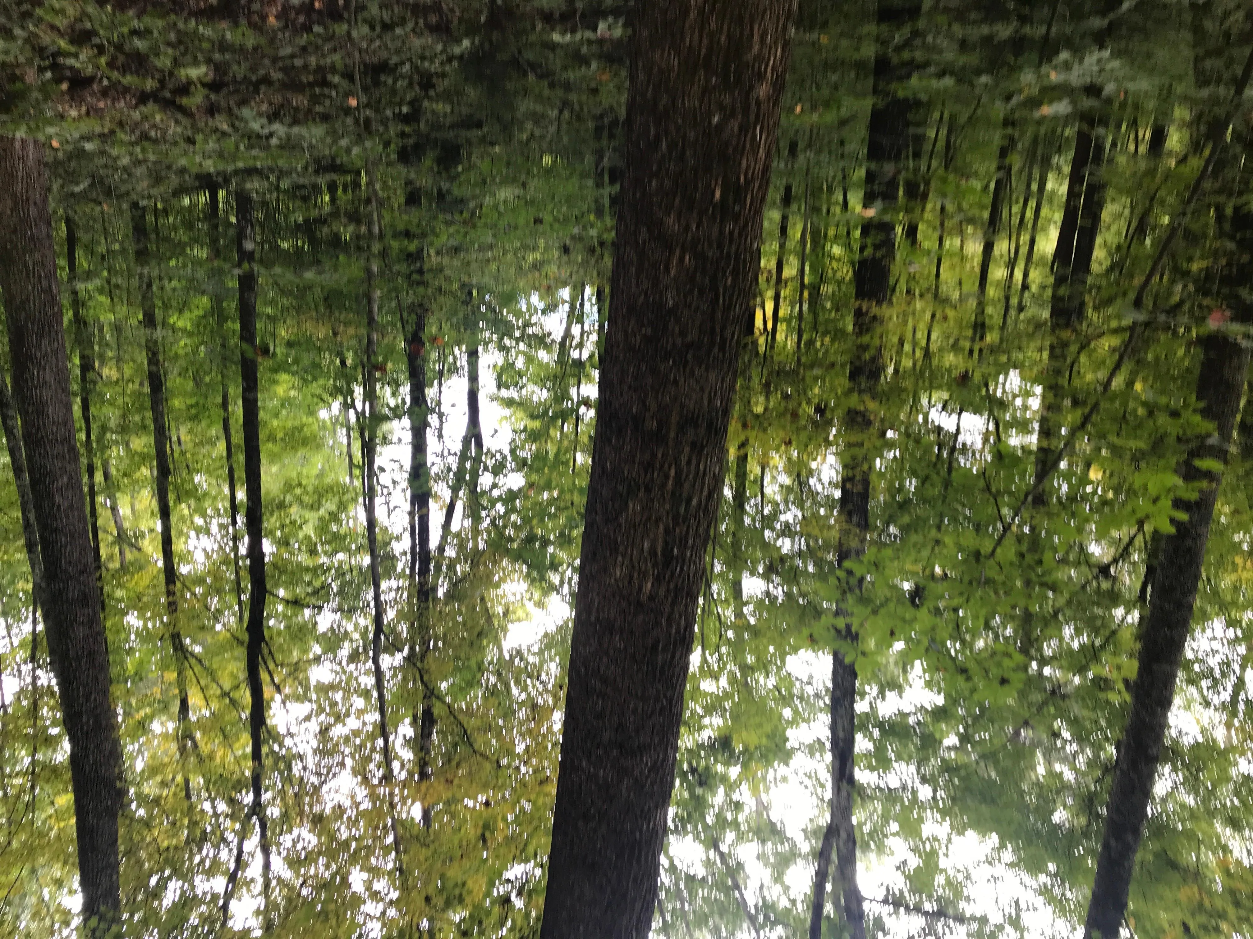 Properties of Joseph Haun with United Country Clinch Mountain Realty