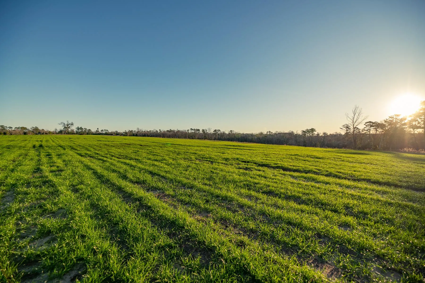 Land for Sale in Attapulgus, 4 Properties