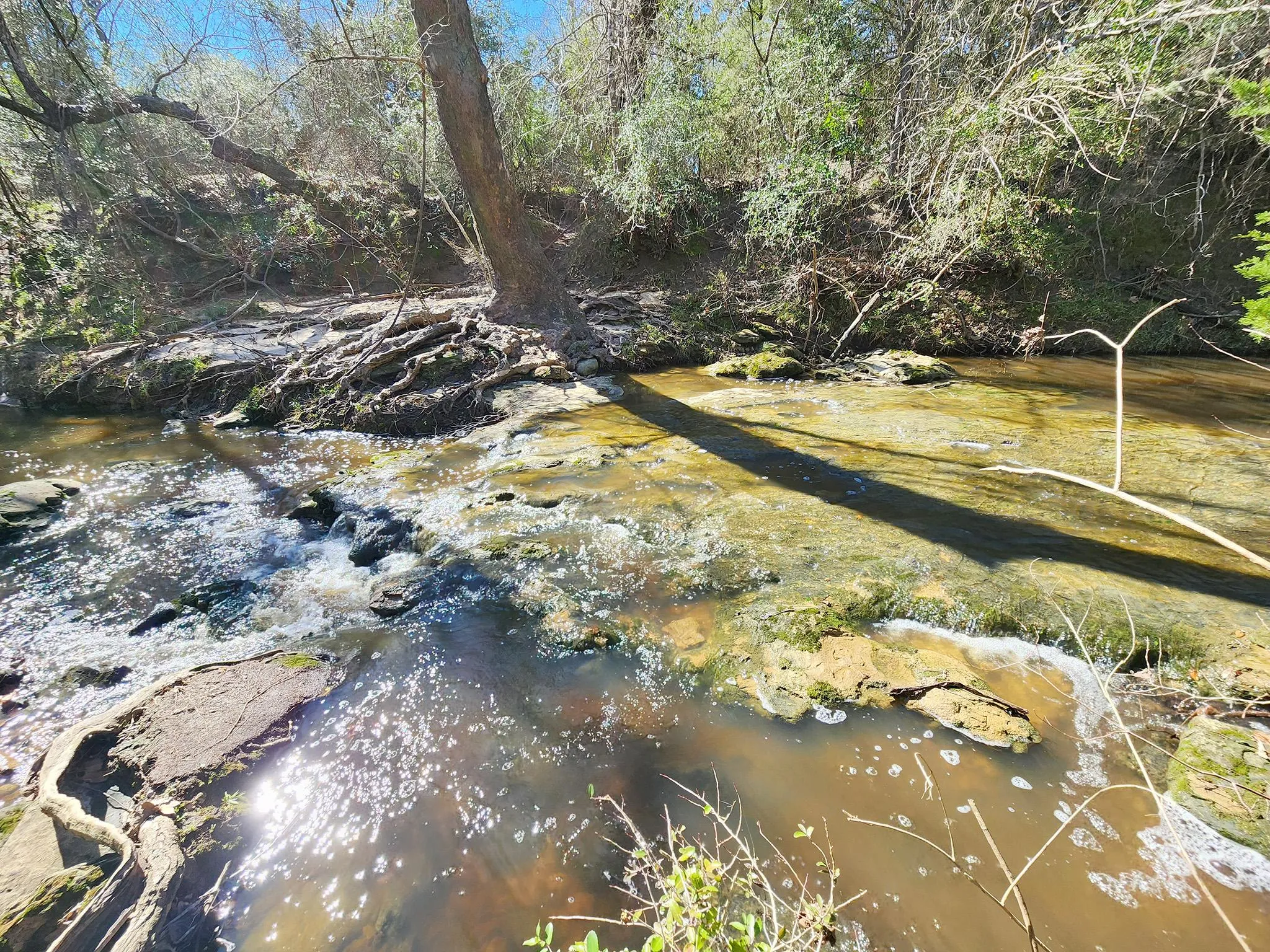 Land for Sale in Weimar, Texas 38 Properties