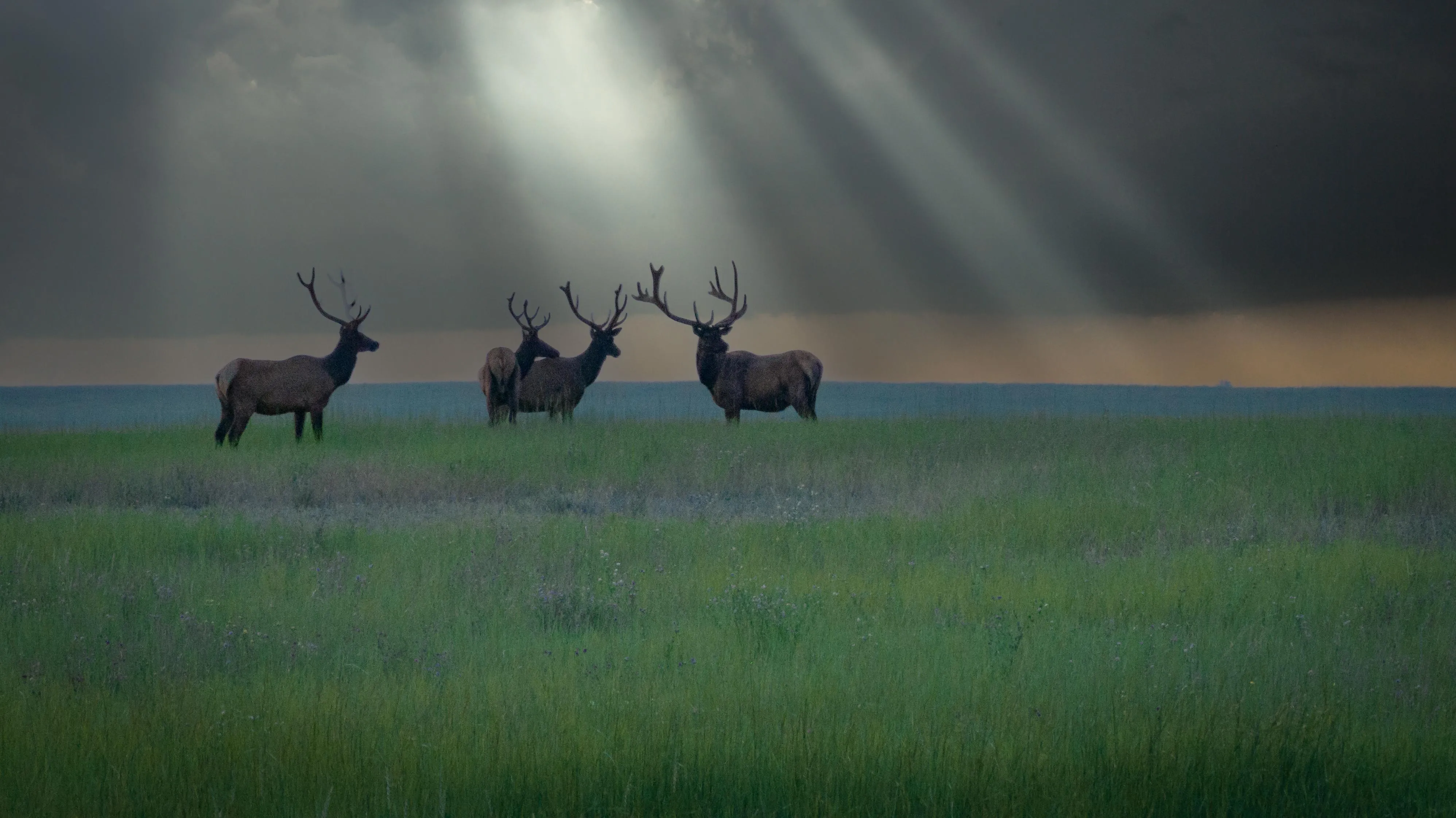 Land for Sale in Roundup, Montana 45 Properties