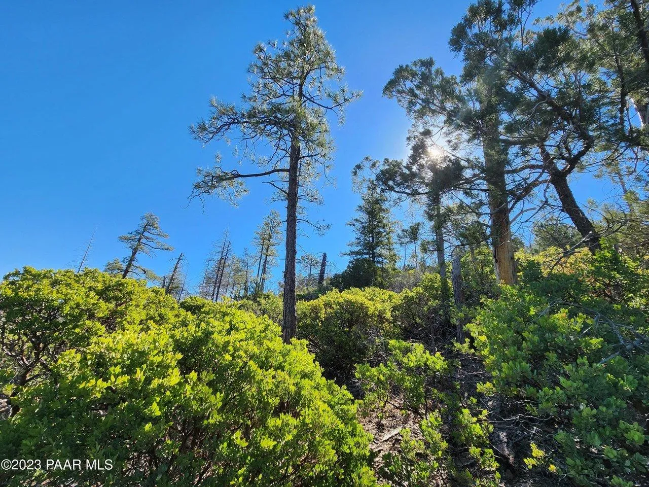 Land for sale, RV parks for sale in Arizona 26 Properties