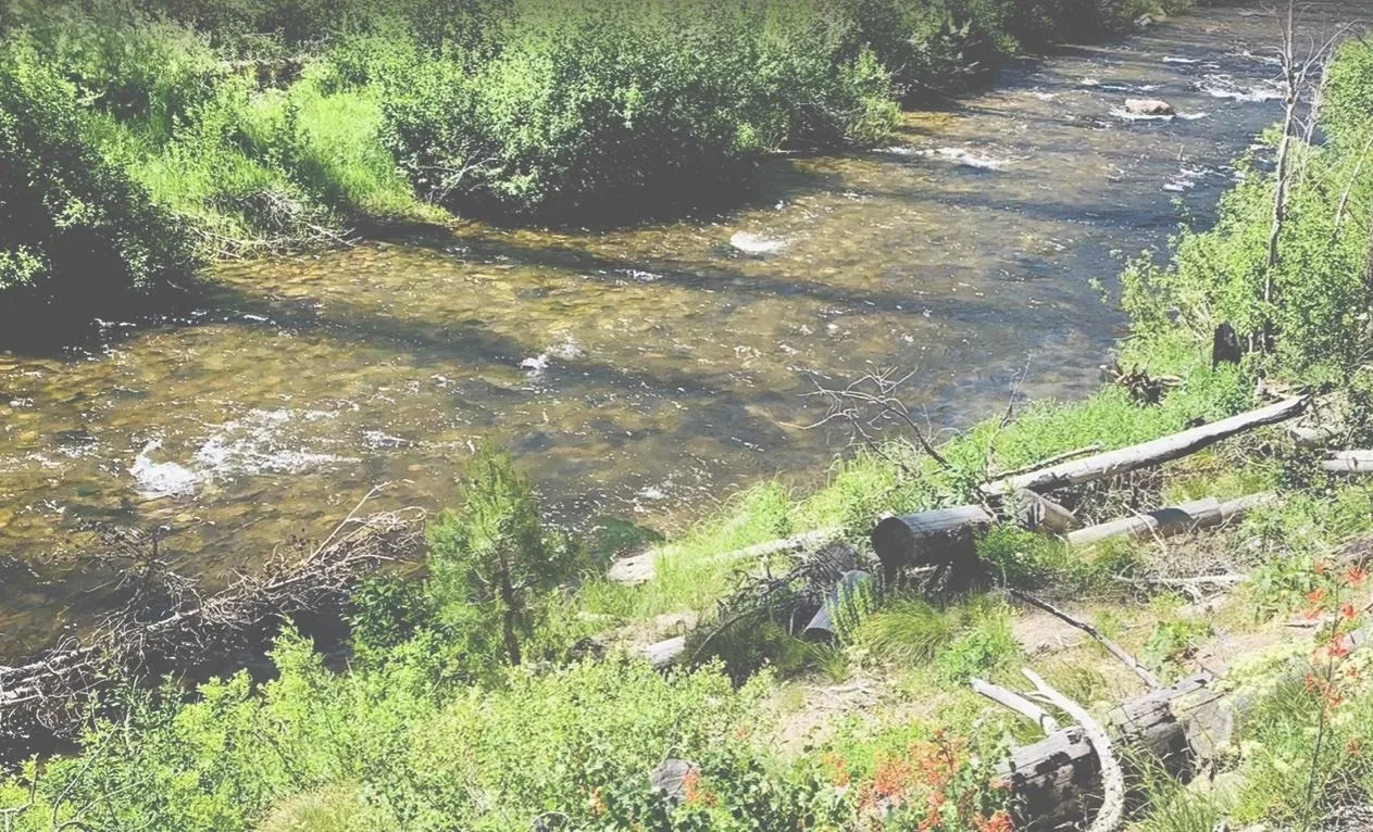 Land for sale, hobby farms for sale in Idaho 415 Properties