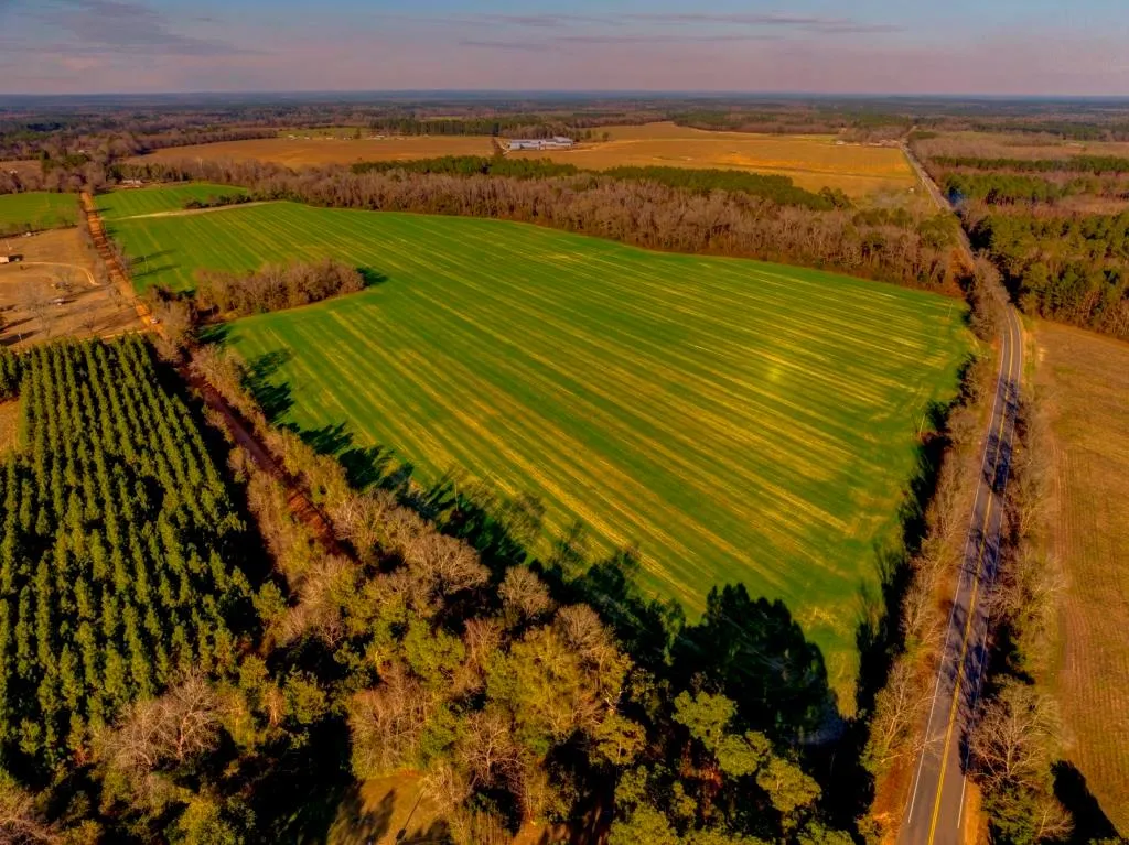 Land for Sale in Bulloch County, 214 Properties