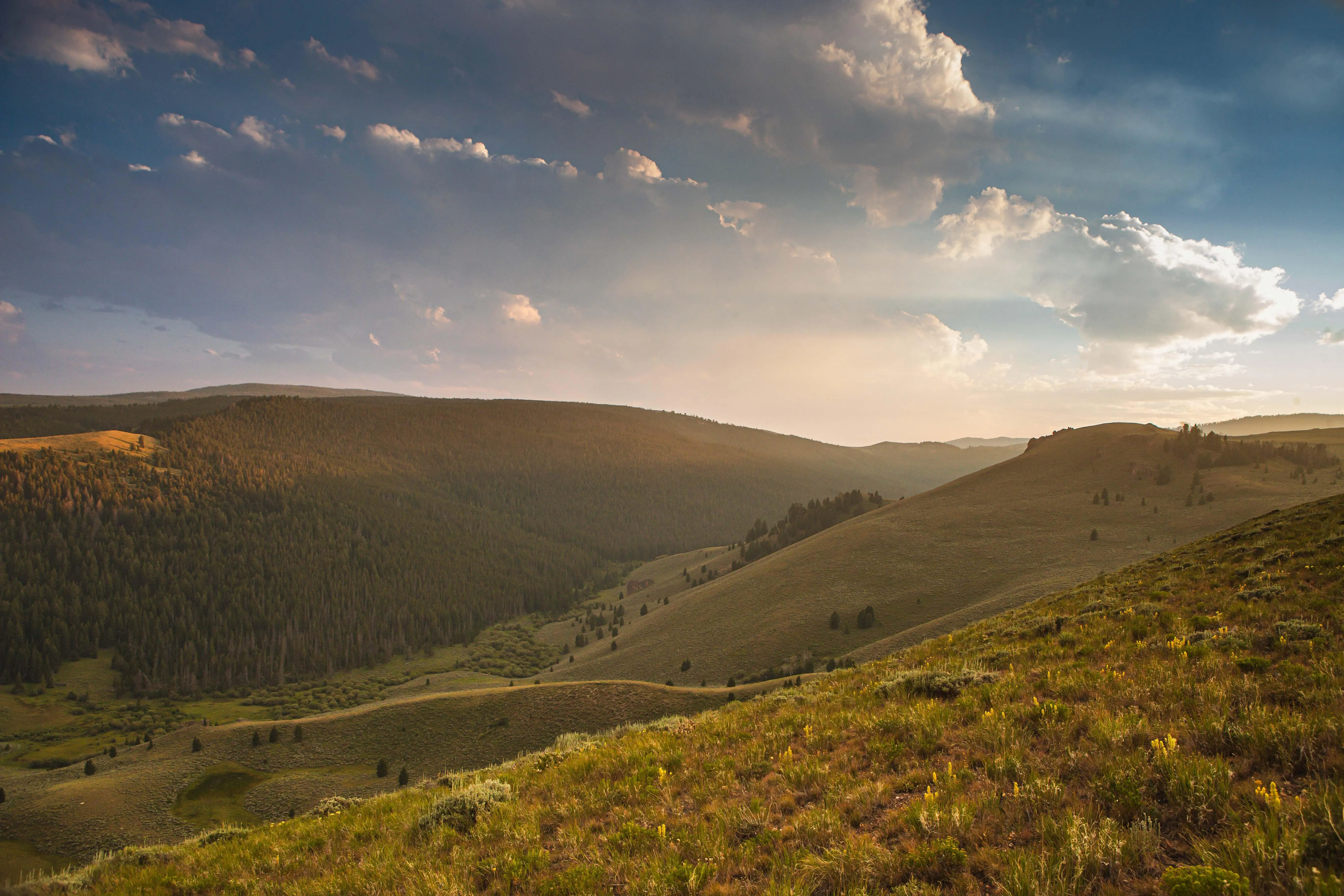 Land for Sale in Beaverhead County, Montana 83 Properties