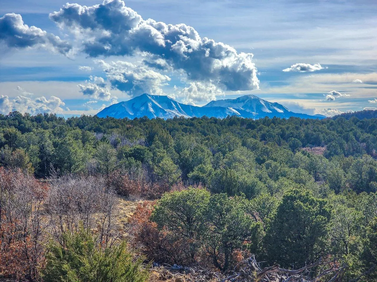 Owner Financing Land for Sale in Huerfano County, Colorado 11