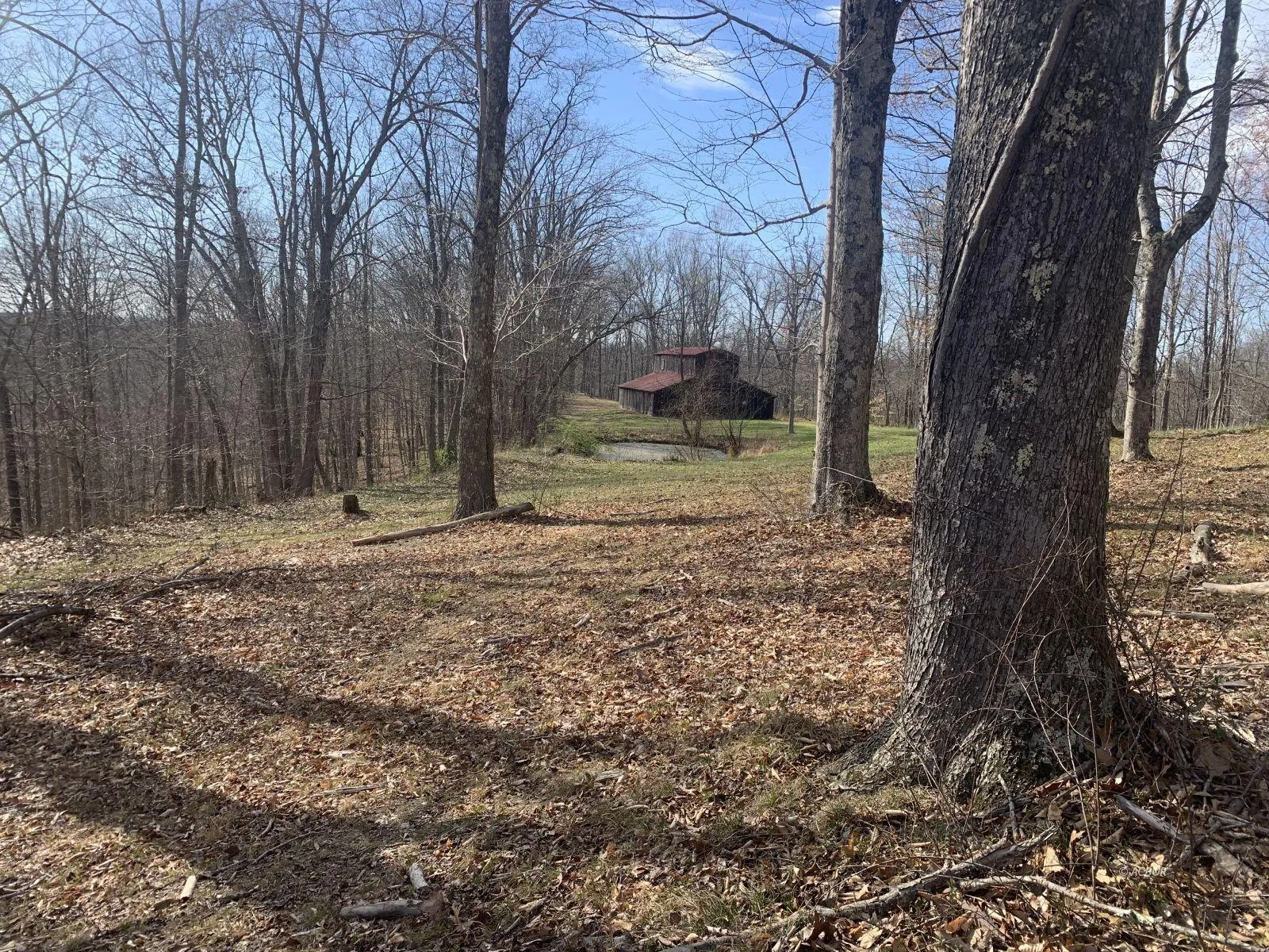 Properties of Wiseman Real Estate with Wiseman Real Estate in