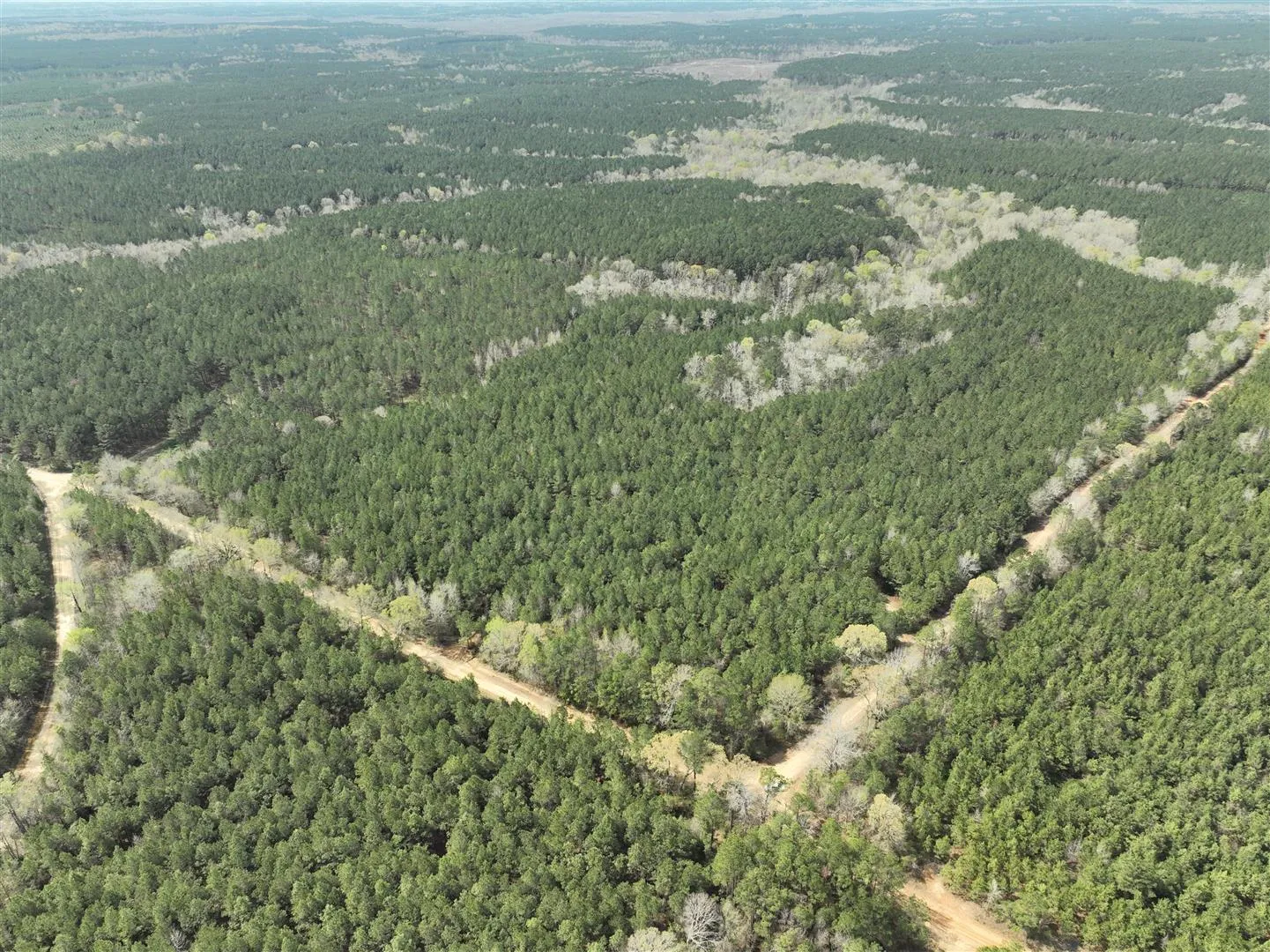 Land for Auction in Ouachita Parish, Louisiana 1 Properties