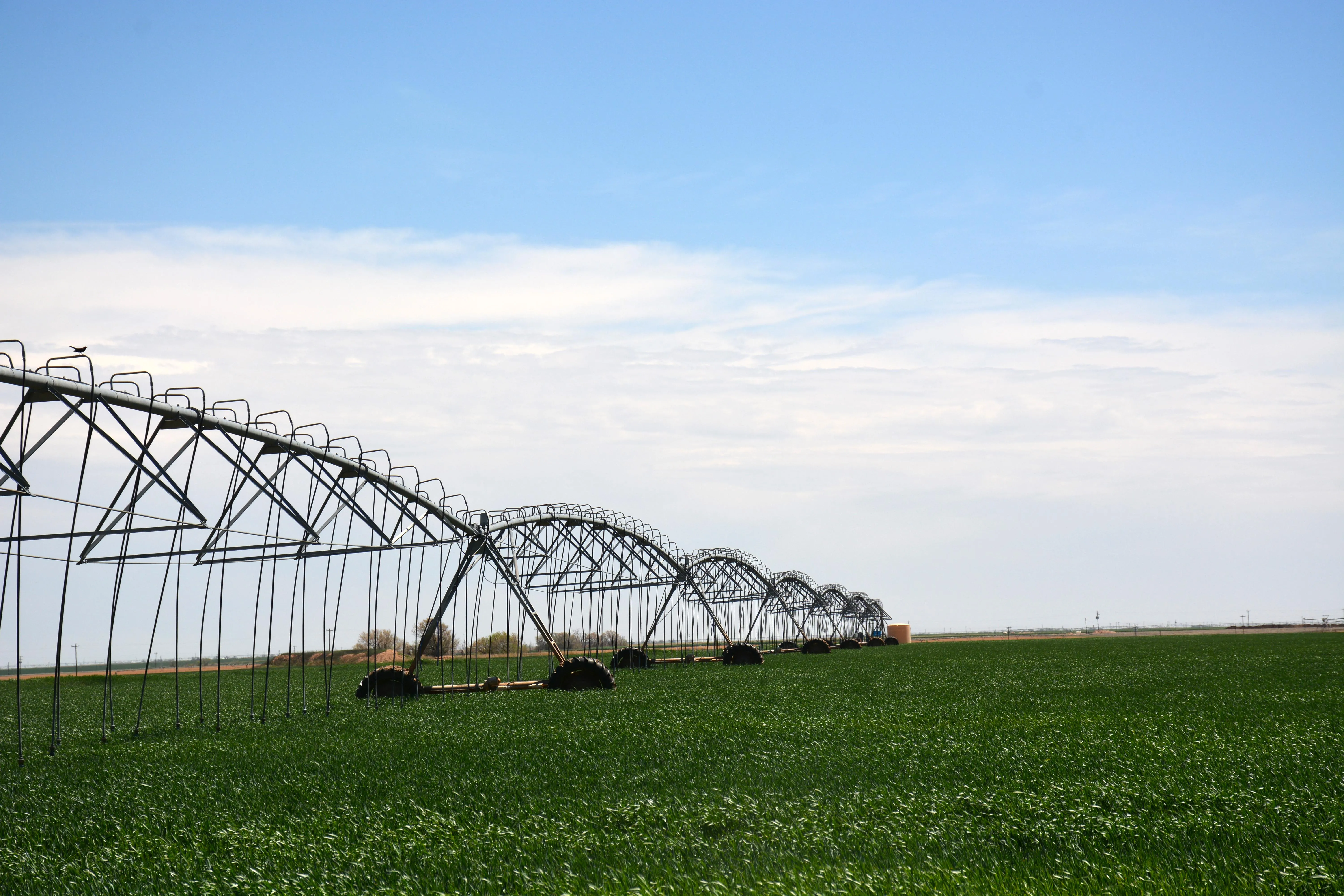 Properties of Ben G. Scott with Scott Land Company, LLC in Dimmitt, TX