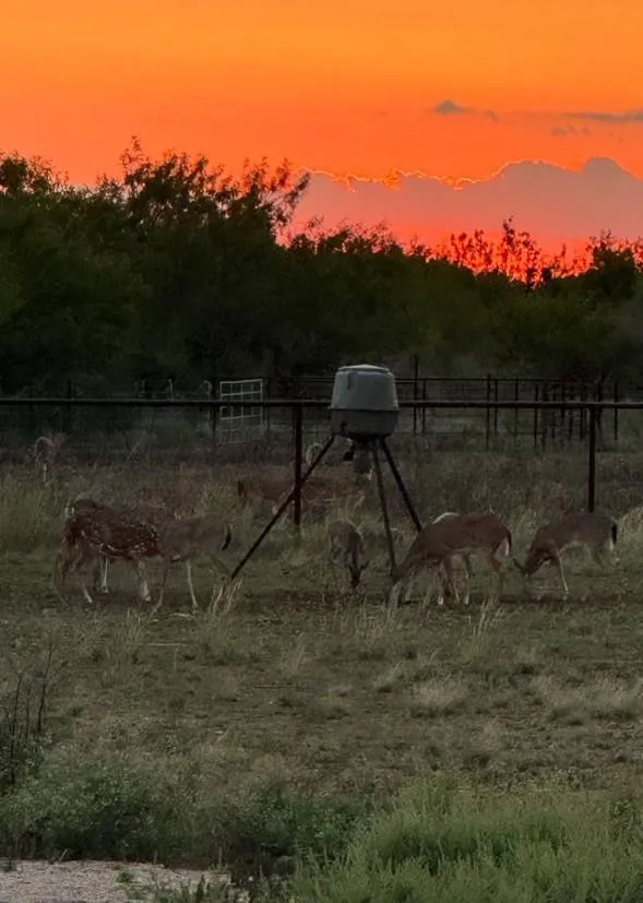 Land for Sale in Uvalde County, Texas 160 Properties