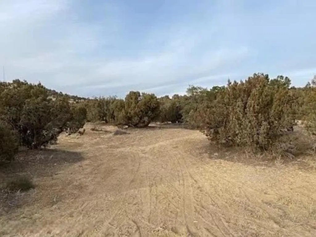 Waterfront Properties for Sale in Farmington, New Mexico 2 Properties