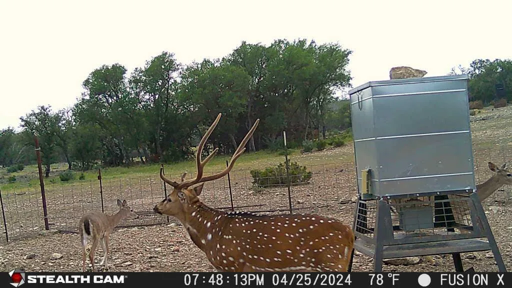 Land for Sale in Edwards County, Texas between 50 and 250 Acres 125