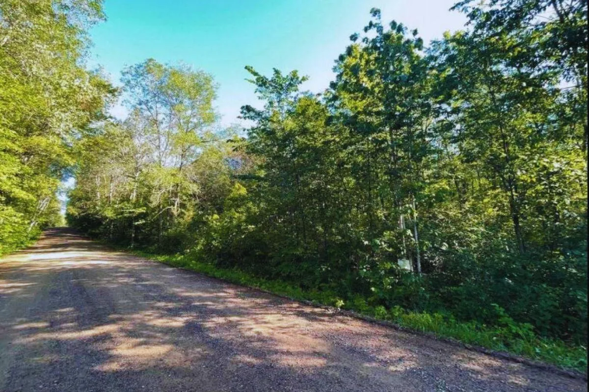 Land for sale, cheap land for sale in Minnesota 2,150 Properties