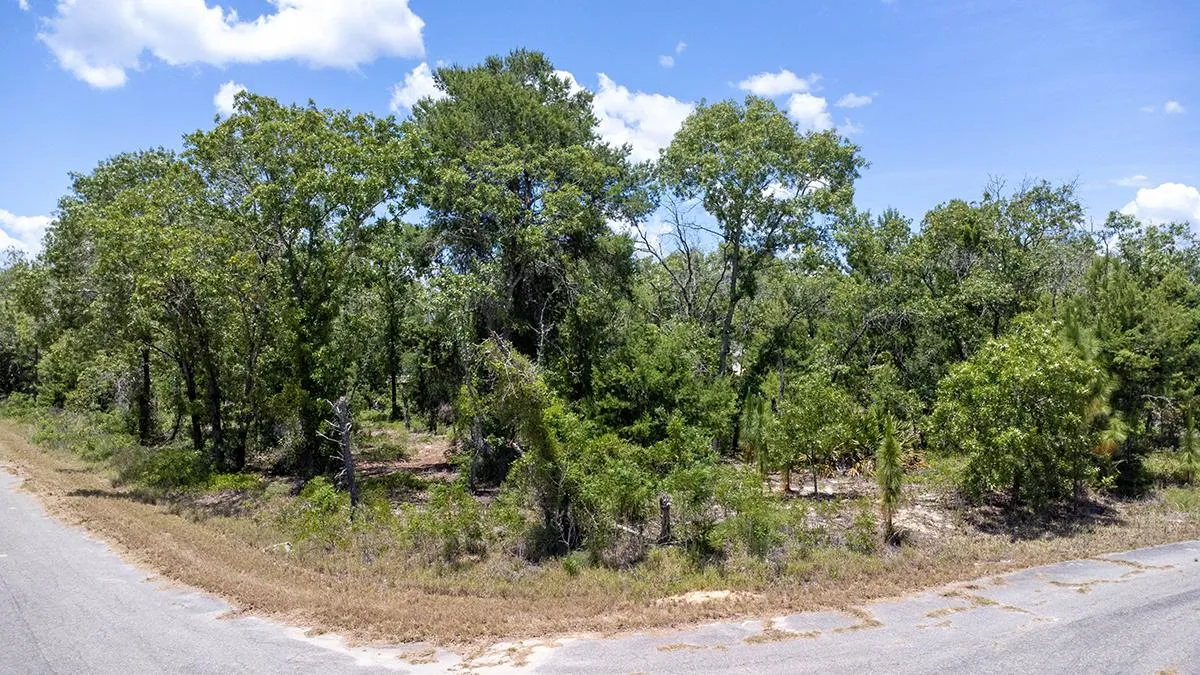 Owner Financing Land for Sale in Marion County, Florida 65 Properties