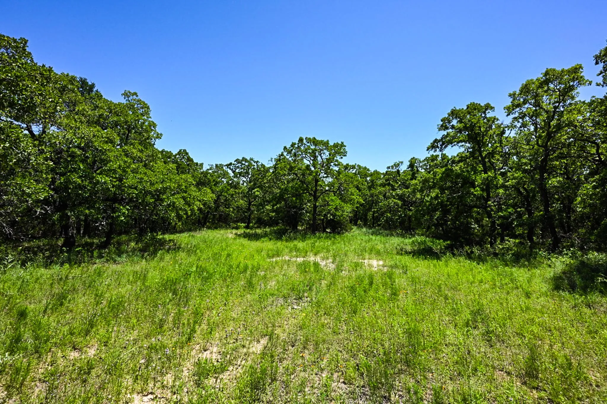 Land for Sale in Perrin, Texas 48 Properties