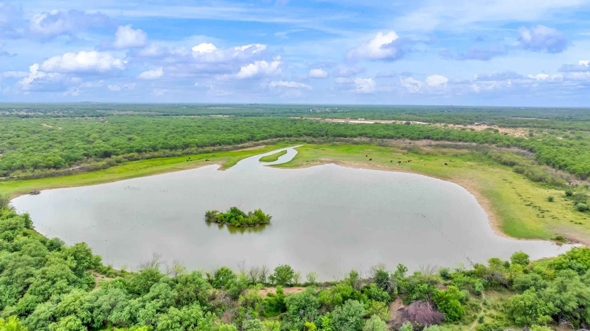 Ranches for Sale in Dimmit County, Texas 14 Properties