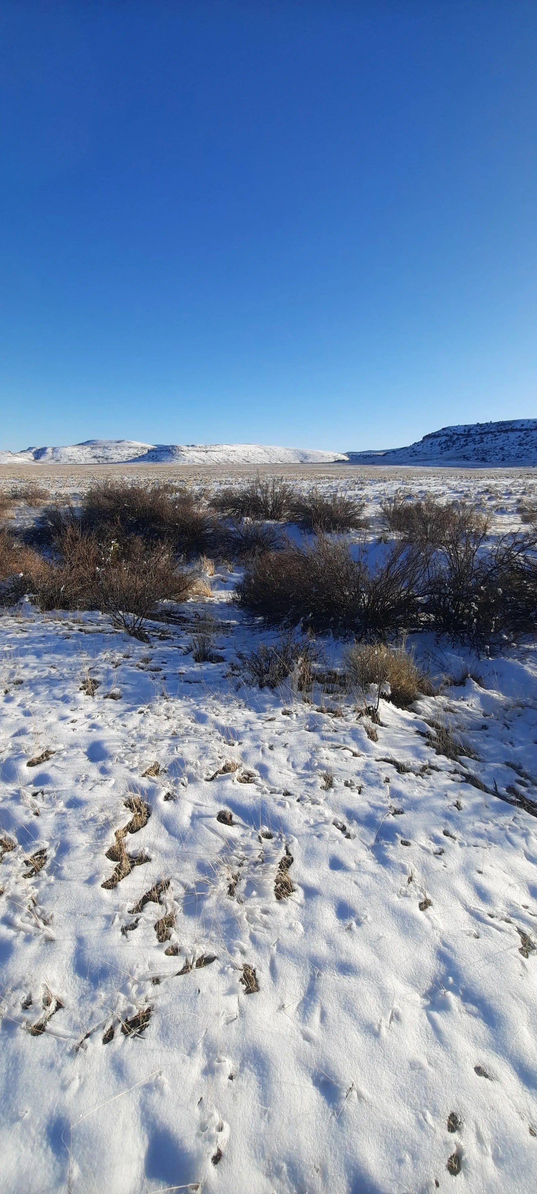 Land for Sale in Del Norte, Colorado 10 Properties