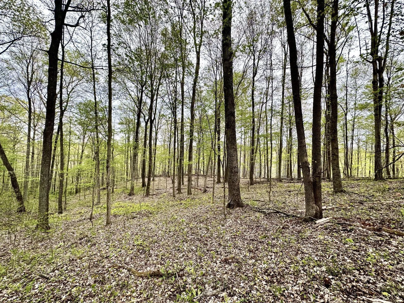 Land for Sale in Meigs County, Ohio 92 Properties