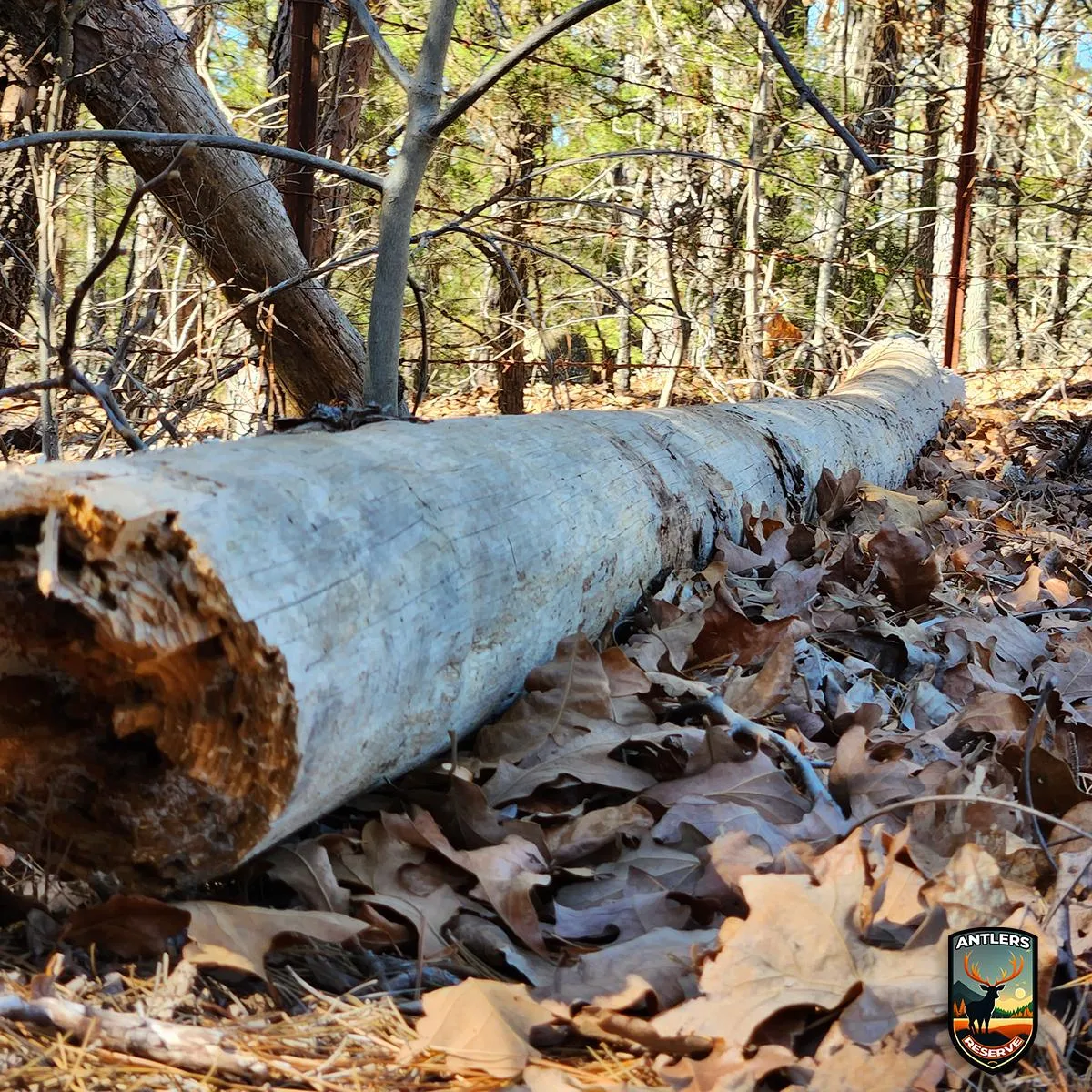 Land for Sale in Pushmataha County, Oklahoma 166 Properties