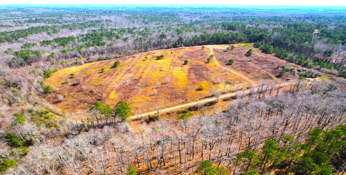 Land for Sale in Troup County, 198 Properties