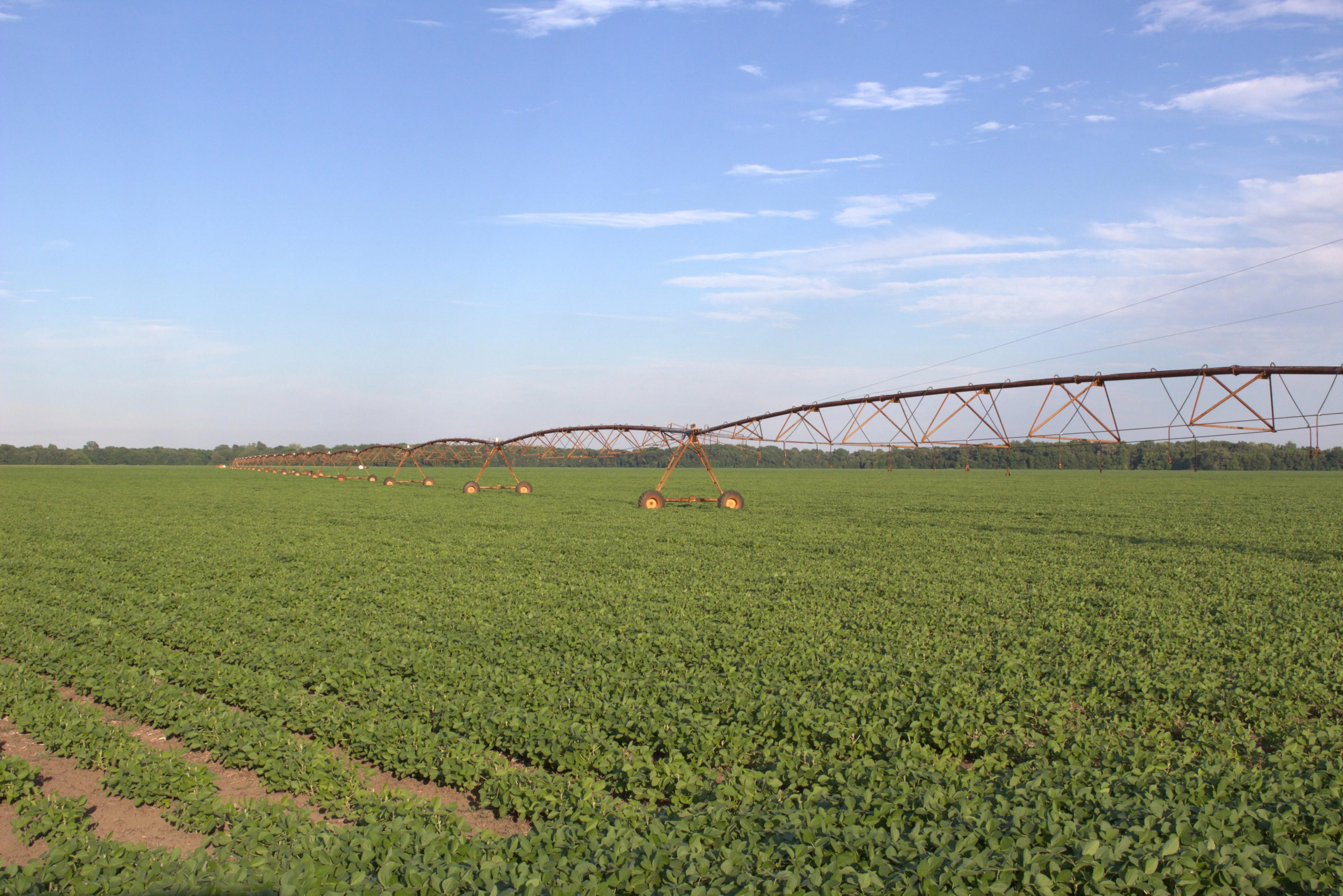 Land for Sale in Bolivar County, Mississippi 23 Properties