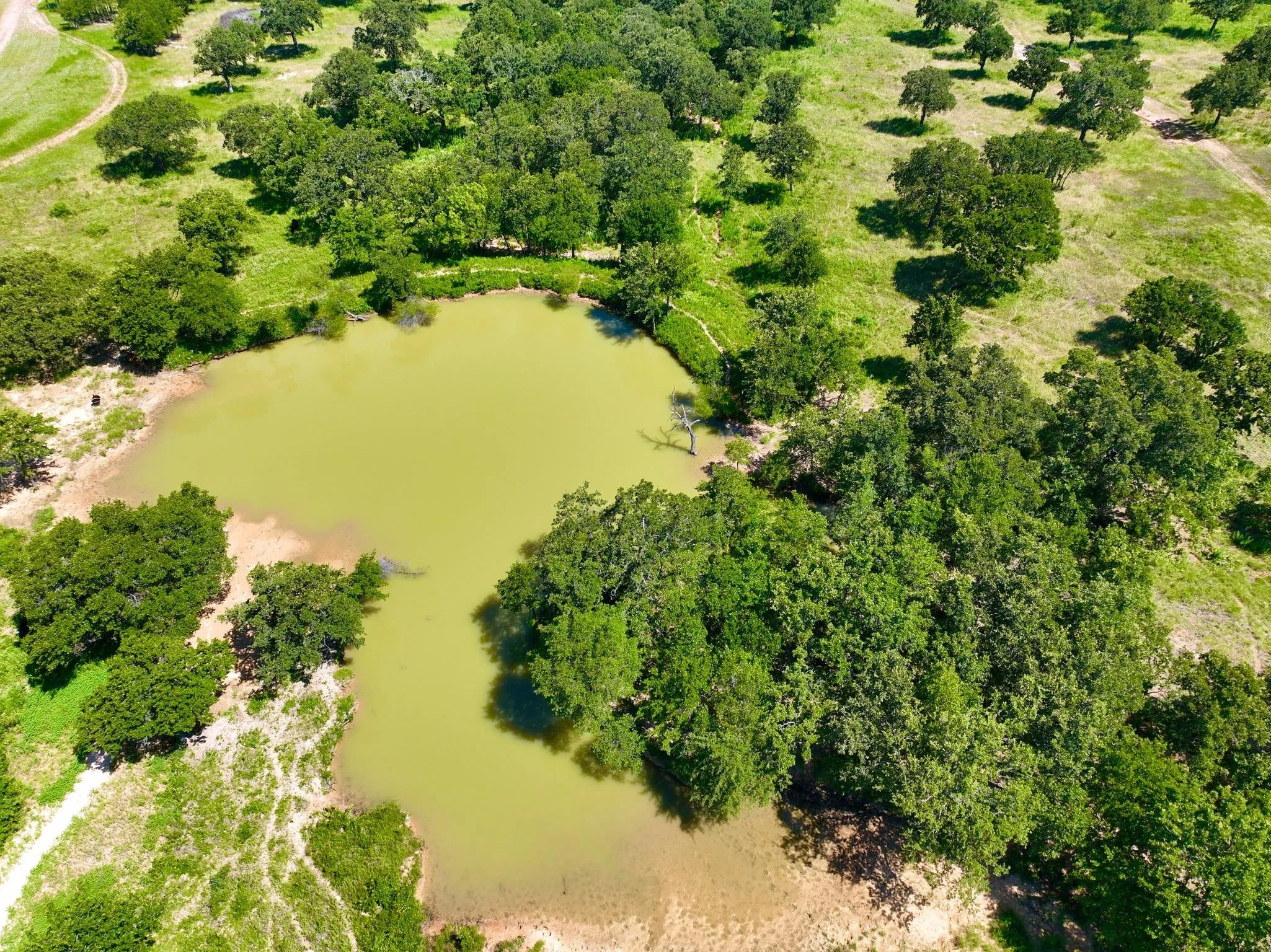Ranches for Sale in Jack County, Texas 61 Properties