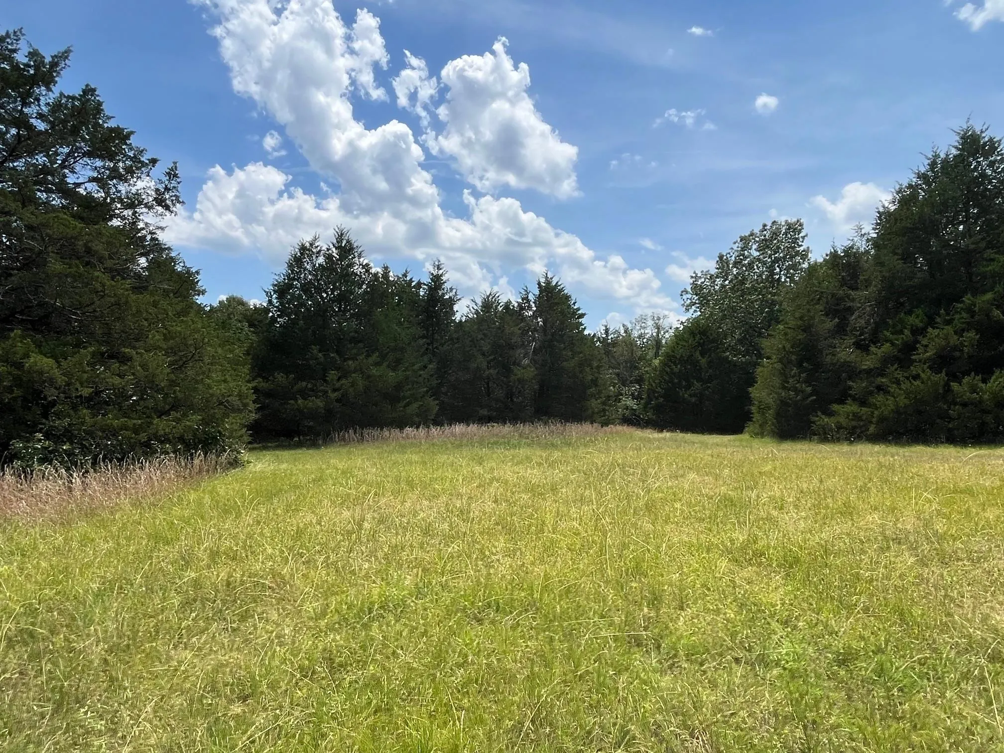 Properties of Trey Lamb with Sharp Realty, Inc. in Melbourne, AR