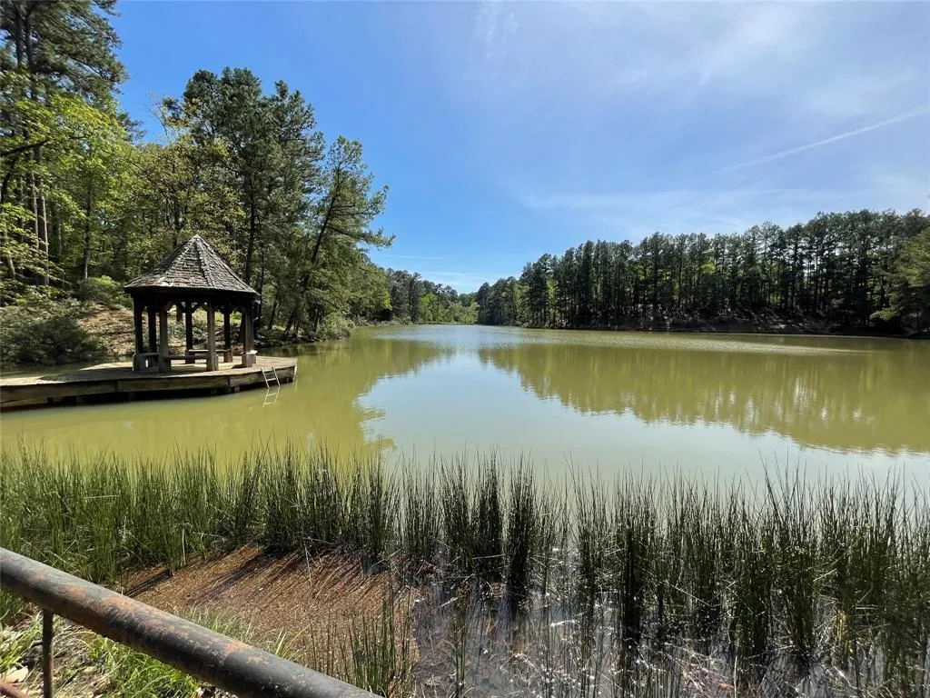 Land for Sale in Grapeland, Texas 74 Properties