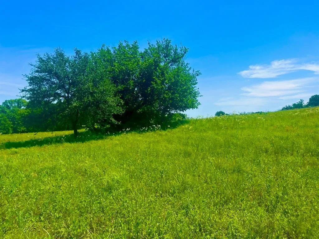Land for Sale in Parker County, Texas up to 5 Acres 1,329 Properties