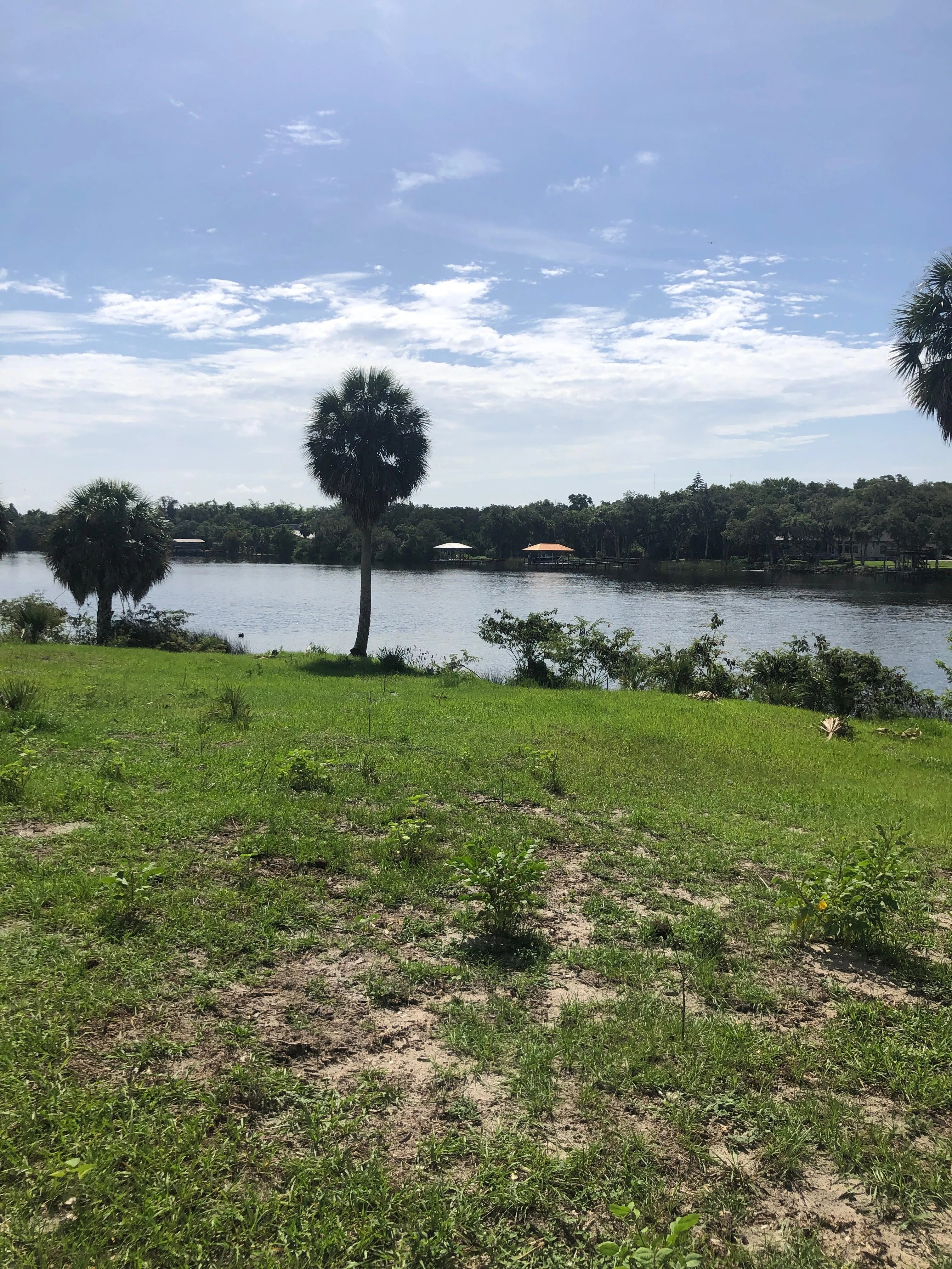 Zillow Oceanfront Florida 46 - 1s2lmfz