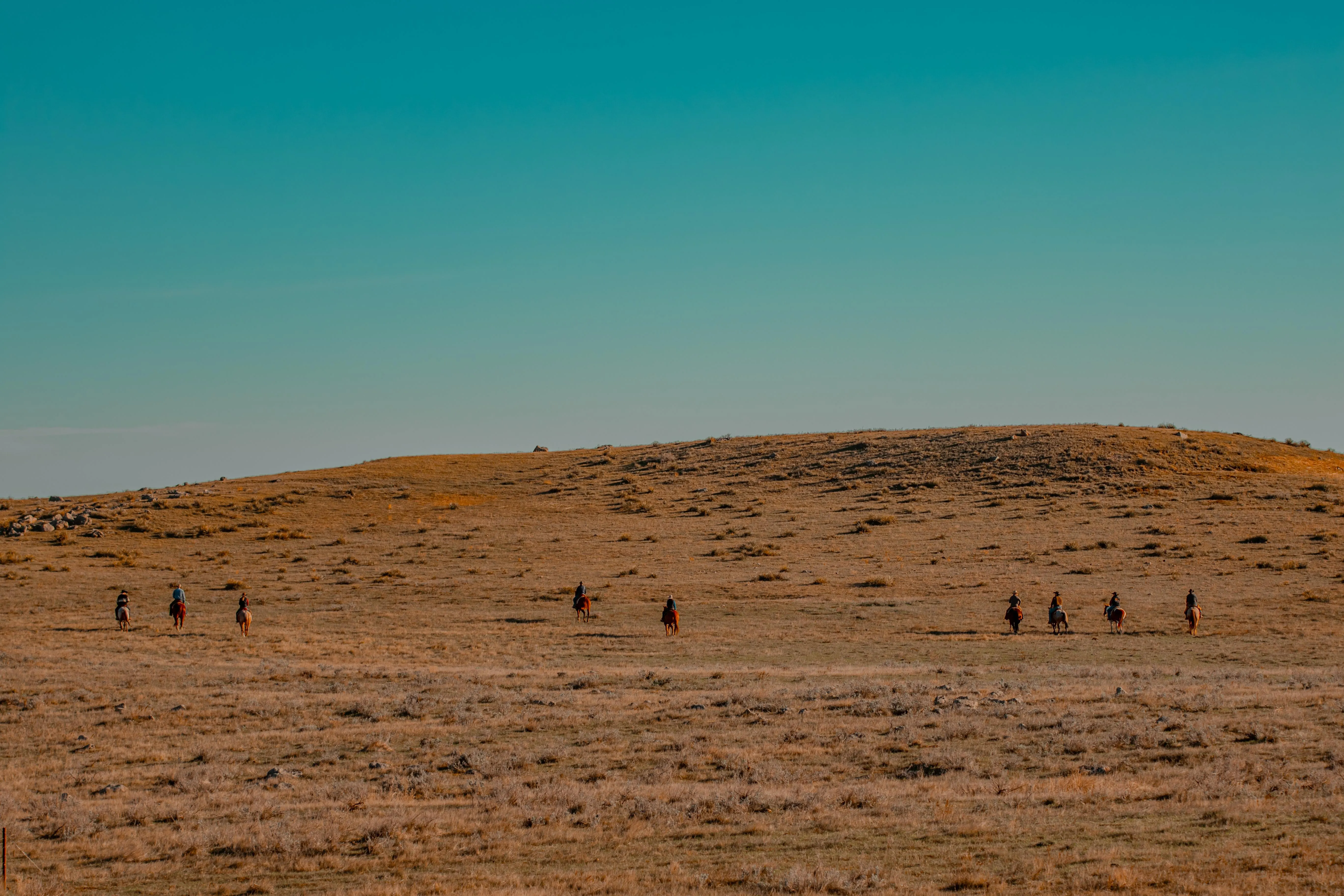 How Far Is 10,000 Acres? The Answer Will Astonish You! - zl99bbw