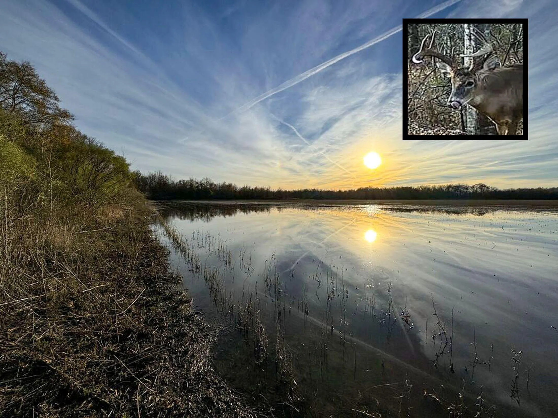 Land for Sale in Batesville, Mississippi 53 Properties