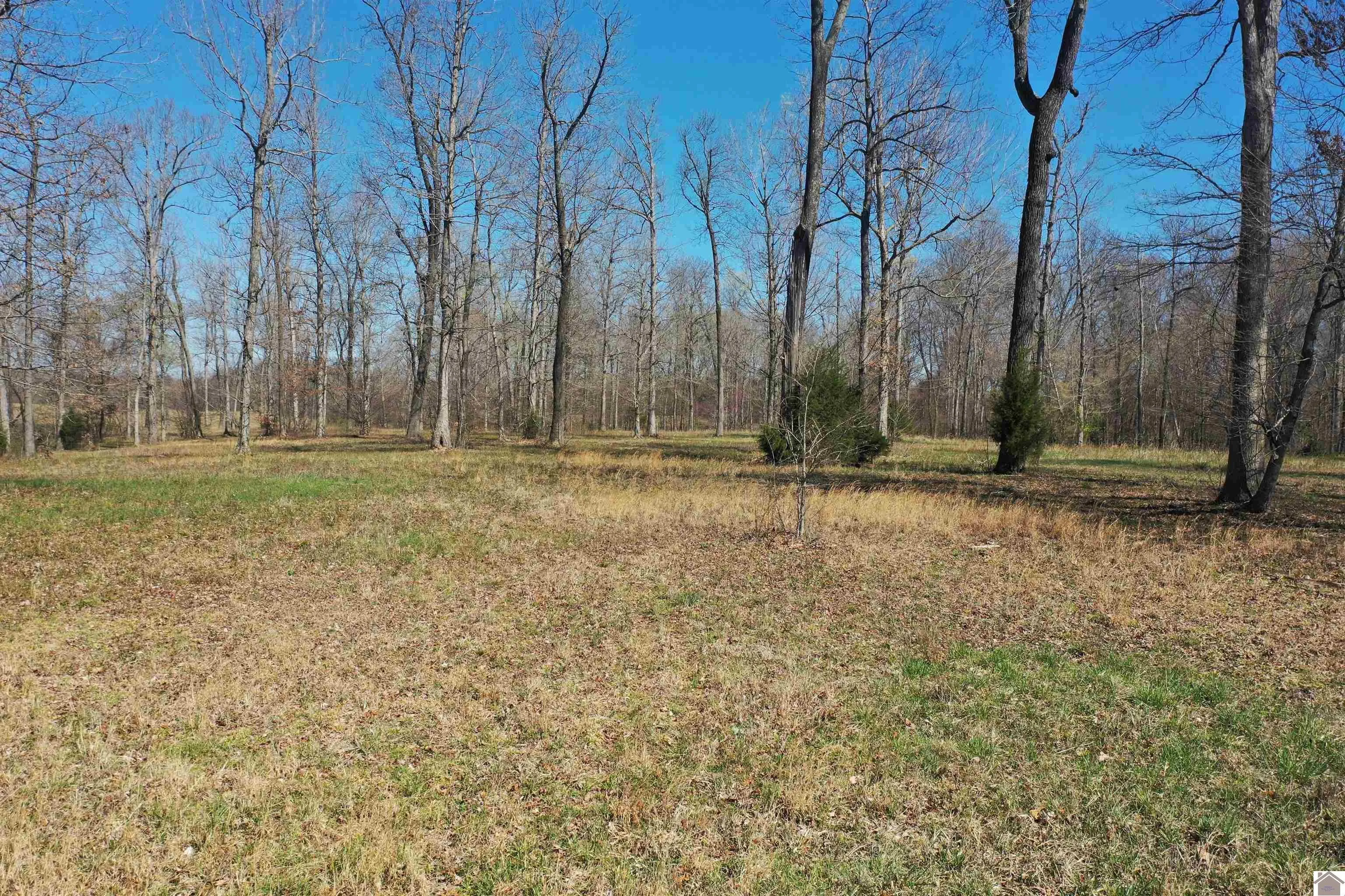 Undeveloped Land for Sale in Western Kentucky Region 700 Properties