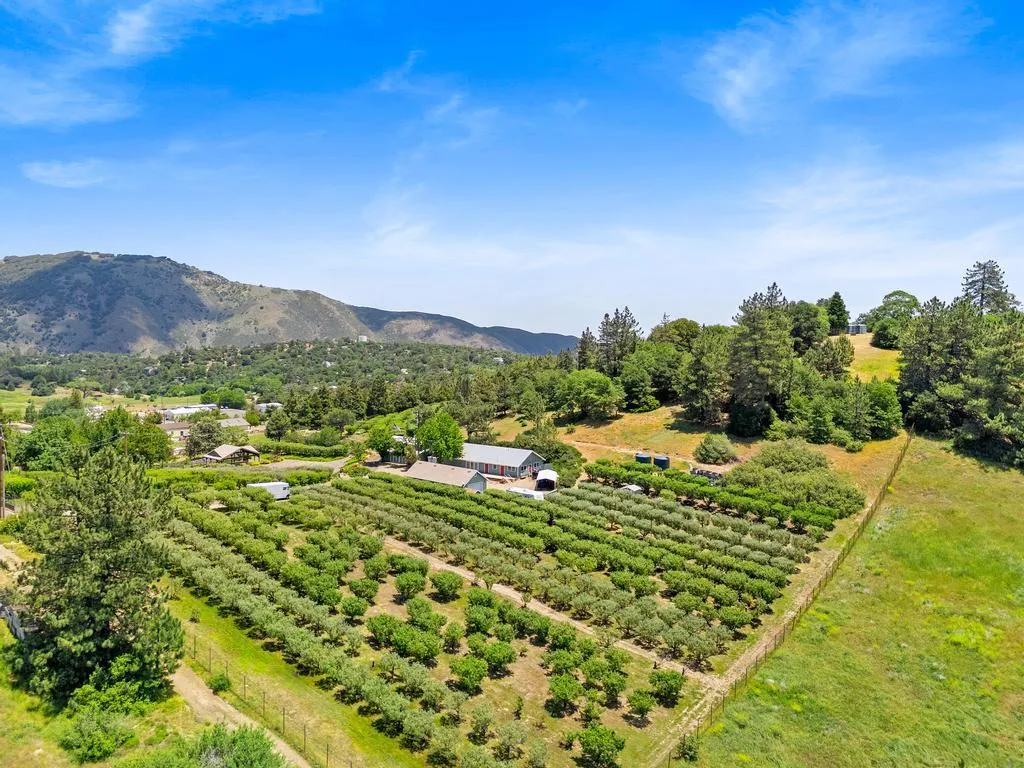 California Vineyards for Sale