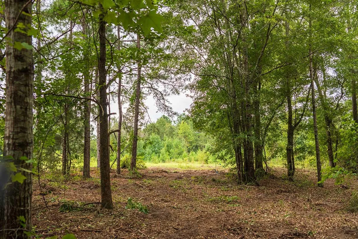 Land for Sale in Alabama between 10 and 10 Acres 156 Properties