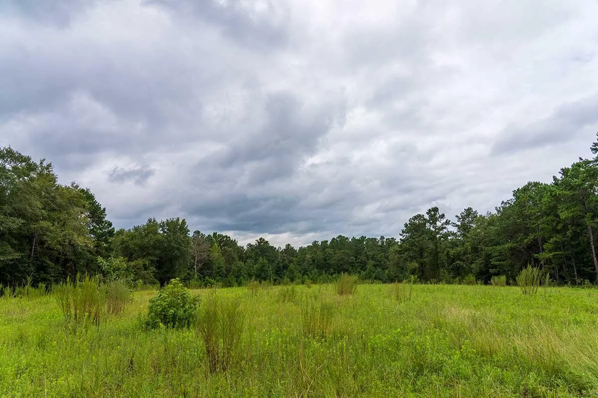 Land for Sale in Alabama between 10 and 50 Acres 2,483