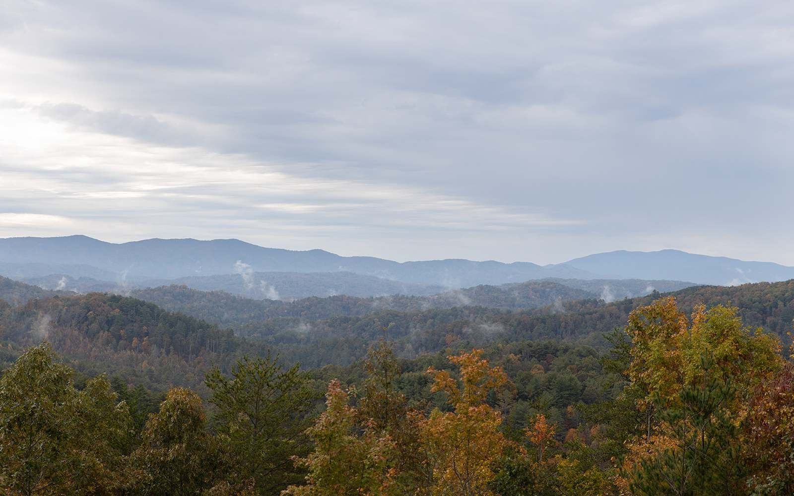 5 acres in Polk County, Tennessee