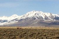 Property in Custer County, Idaho