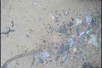 Property in Washington County, Arkansas