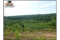 Property in Conway County, Arkansas