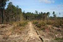 Property in Hertford County, North Carolina